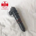 Cummins NT855 Injector 3062152