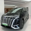Denza D9