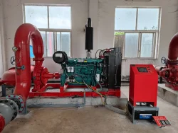 Diesel engine fire pump installation completed