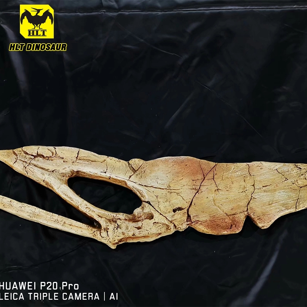 hot sale decorative simulation dinosaur fossil pterosaur for home or museum