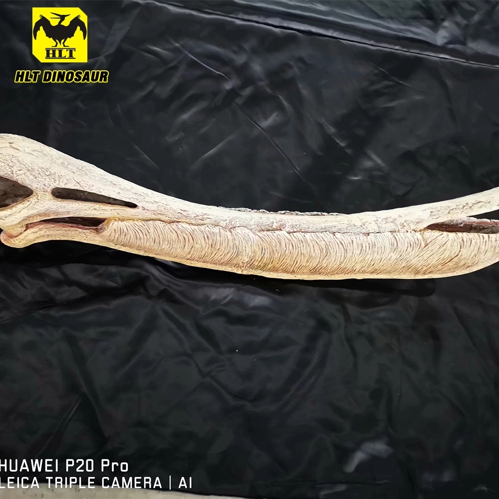 hot sale decorative simulation dinosaur fossil pterosaur for home or museum