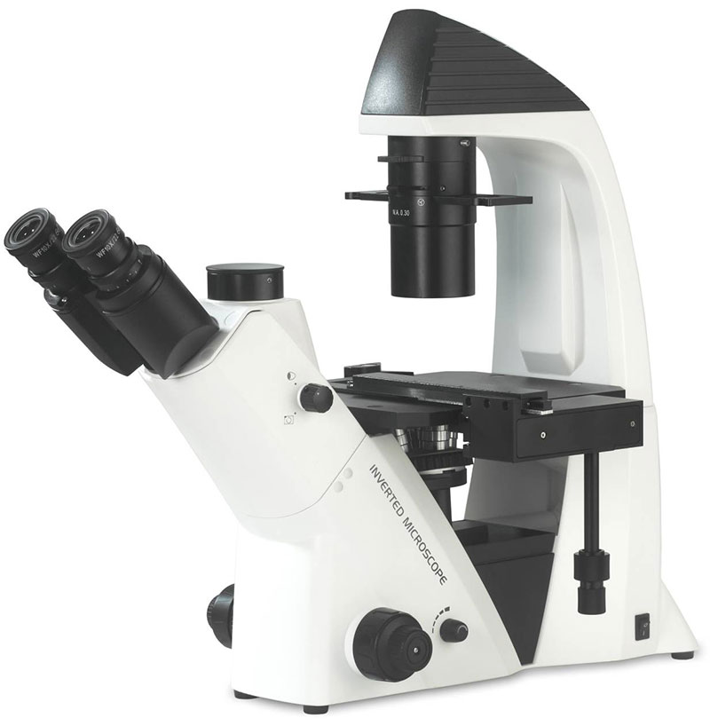 BDS400 Inverted Biological Microscope