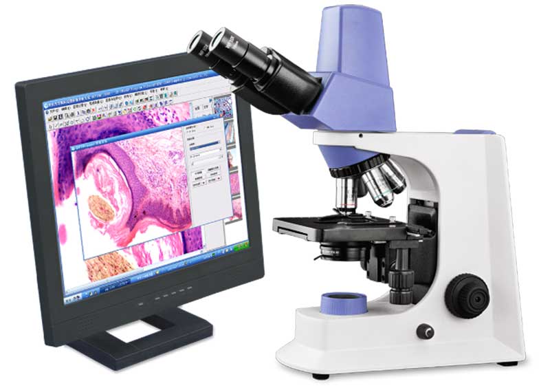 SMART Series Biological Microscope