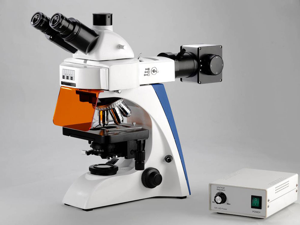 BK6000 Series Biological Microscope