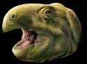 ''Ugly''16ft-long dinosaur is found in the south of France with terrifying 2.5-inch teeth that tore through food like scissors 80 million years ago