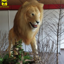HLT Animatronic lion sculpture with movement