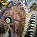 HLT hot sale simulation dinosaur fossil T-rex head for sale